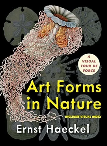 Art Forms in Nature